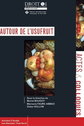 Autour de l'usufruit