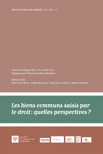 Les biens communs saisis par le droit : quelles perspectives ?