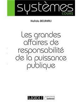 Les grandes affaires du droit de la responsabilité de la puissance publique